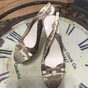 Calvin Klein Stiletto Buckle Sandals Snake Print 9